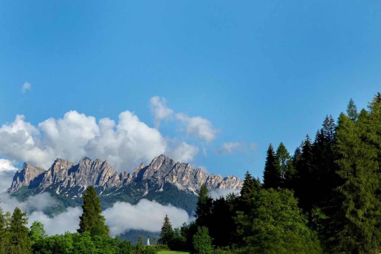 Chalet Del Capriolo Vodo Cadore Exterior foto